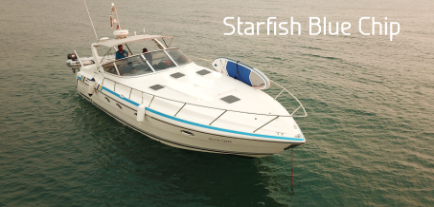 Algar Boat Charter Algar Boat Charter