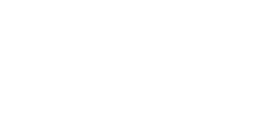 PlotBiz