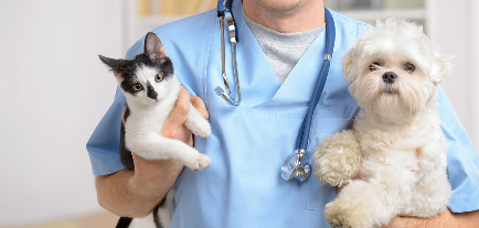 Clínica Veterinária VET - Vilamoura