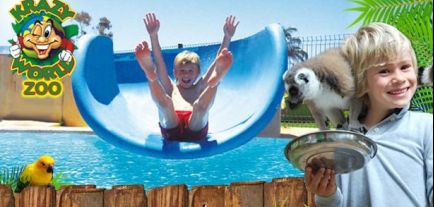 Krazy World Zoo